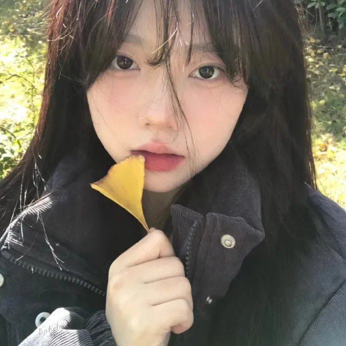 防线 海报